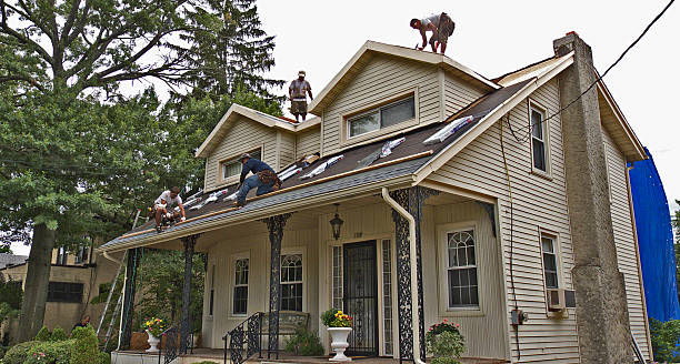 Best Flat Roof Repair Services  in Crete, NE